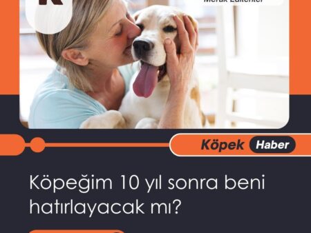 Köpeğim 10 Yıl Sonra Beni Hatırlayacak Mı?