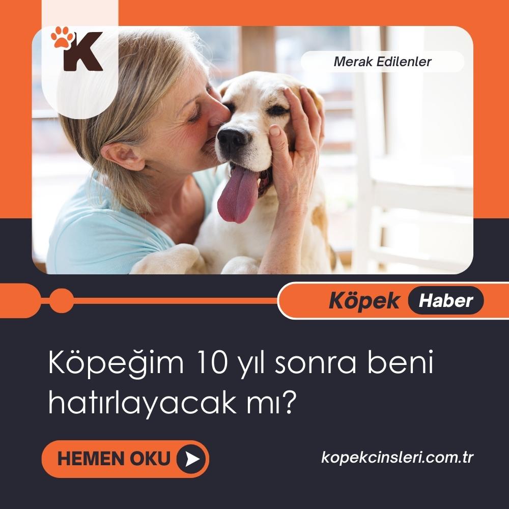 Köpeğim 10 Yıl Sonra Beni Hatırlayacak Mı