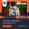 Köpeğim Ağladığımı Hissedebilir Mi?