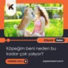 Köpeğim Beni Neden Bu Kadar Çok Yalıyor?