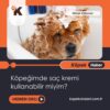 Köpeğimde Saç Kremi Kullanabilir Miyim?