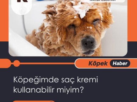Köpeğimde Saç Kremi Kullanabilir Miyim?