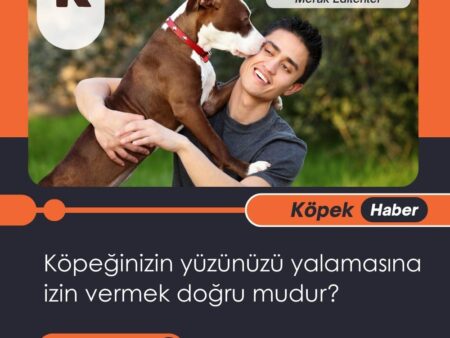 Köpeğinizin Yüzünüzü Yalamasına İzin Vermek Doğru Mudur?