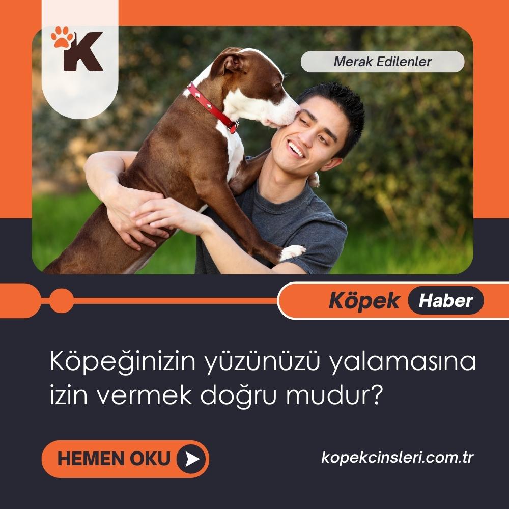 Köpeğinizin Yüzünüzü Yalamasına İzin Vermek Doğru Mudur?