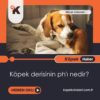 Köpek Derisinin pH’ı Nedir?