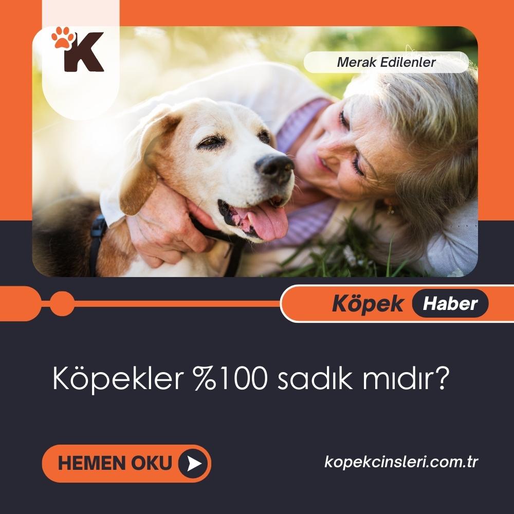 Köpekler %100 sadık mıdır