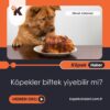 Köpekler Biftek Yiyebilir Mi?