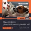 Köpekler Bizim Göremediklerimizi Görebilir Mi?