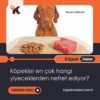 Köpekler En Çok Hangi Yiyeceklerden Nefret Ediyor?