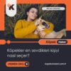 Köpekler en sevdikleri kişiyi nasıl seçer?