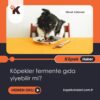 Köpekler Fermente Gıda Yiyebilir Mi?