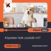 Köpekler Fıstık Yiyebilir Mi?