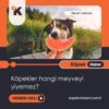 Köpekler Hangi Meyveyi Yiyemez?