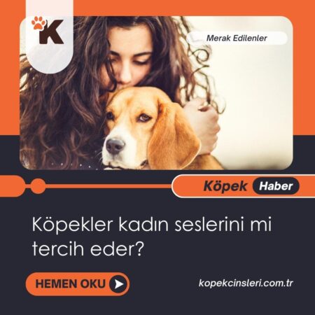 Köpekler Kadın Seslerini Mi Tercih Eder?