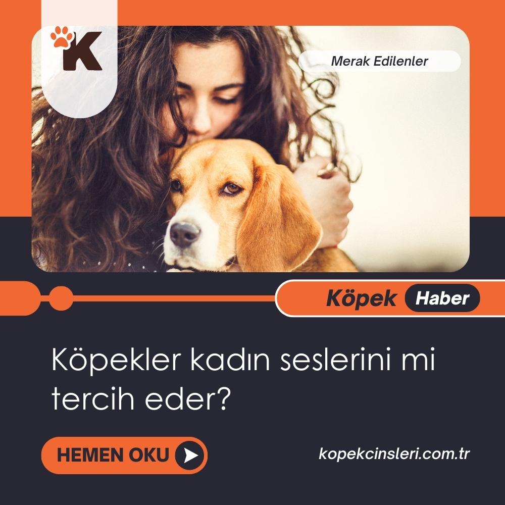 Köpekler Kadın Seslerini Mi Tercih Eder