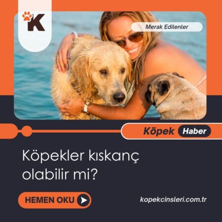 Köpekler kıskanç olabilir mi?