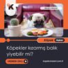 Köpekler Kızarmış Balık Yiyebilir Mi?