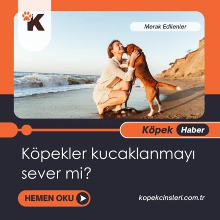 Köpekler kucaklanmayı sever mi?