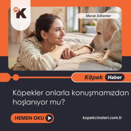 Köpekler onlarla konuşmamızdan hoşlanıyor mu?