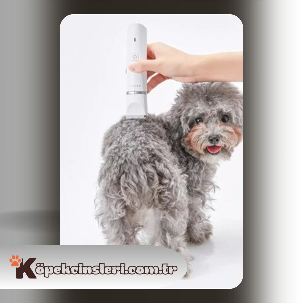 Petkit Profesyonel Köpek Kedi Tıraş Makinesi